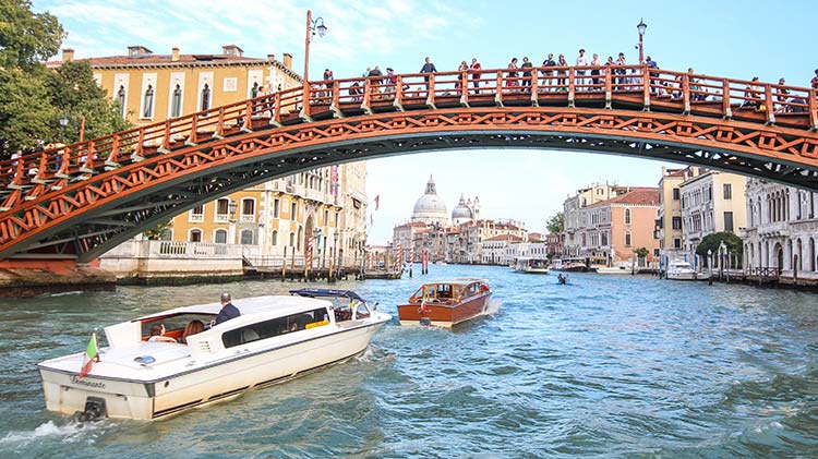 (5) Accademia Bridge & The Grand Canal
