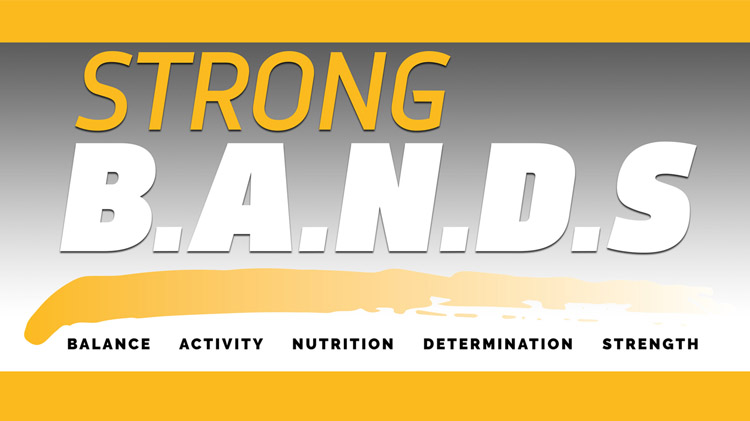 Strong BANDS 2018 Strong BANDS 2018